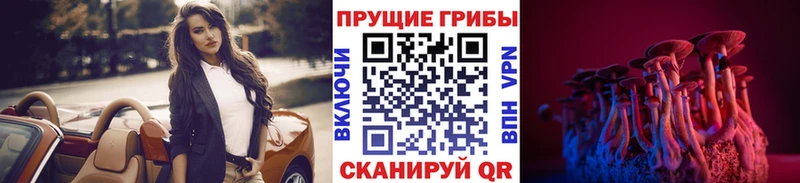купить наркотик  Ивангород  Псилоцибиновые грибы ЛСД 