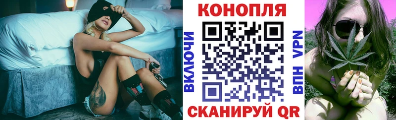 Бошки Шишки планчик  Ивангород 